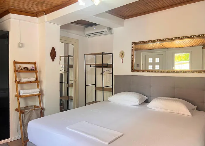 בית אירוח My טיראנה